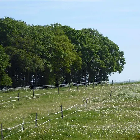 Ruhepunkt Appartement Halver