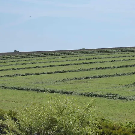 Ruhepunkt Appartement Halver