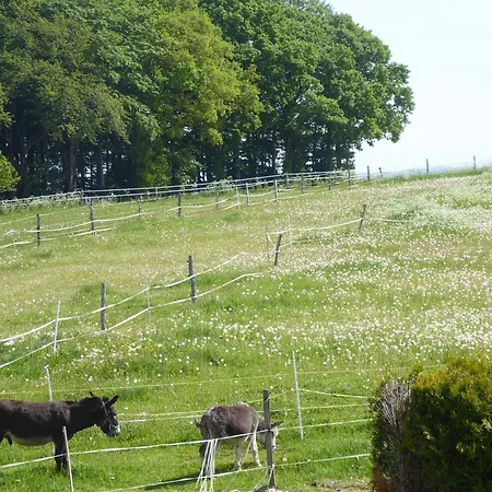 Ruhepunkt Appartement
