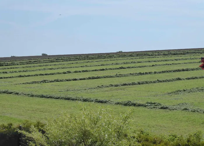 Ruhepunkt Appartamento Halver