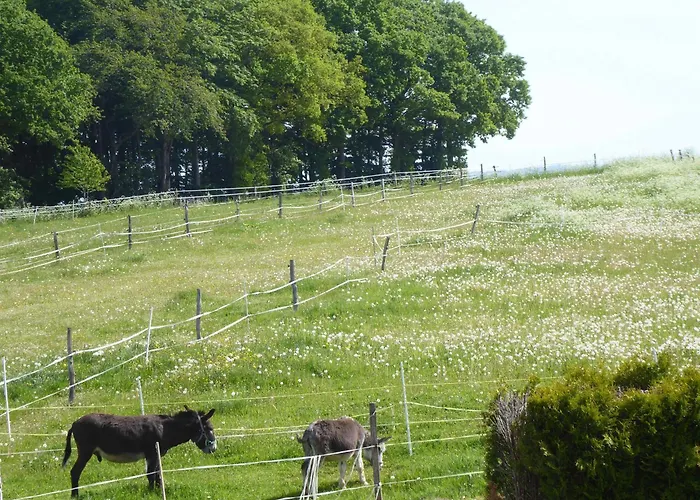 Ruhepunkt Διαμέρισμα